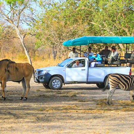 Safari en 4x4 passant près de zèbres et d’une antilope.