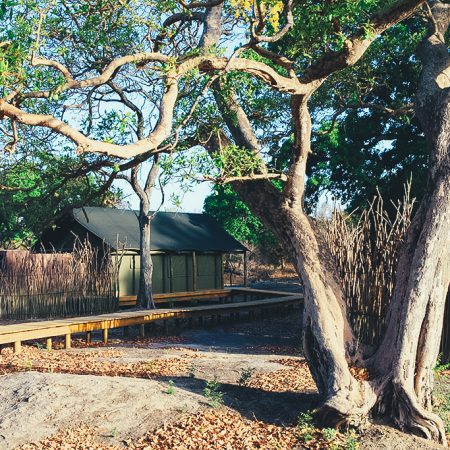 Tente de safari entourée d'arbres dans une réserve naturelle.