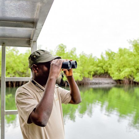 Observation des mangroves dans la réserve de Fathala