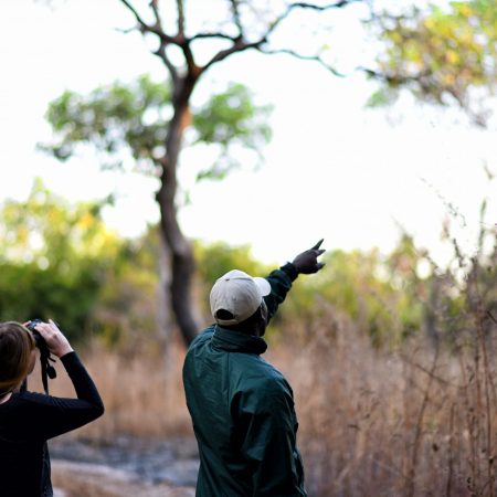 fathala-wild-life-reserve-senegal-68