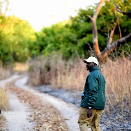 fathala-wild-life-reserve-senegal-69