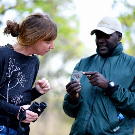 fathala-wild-life-reserve-senegal-70
