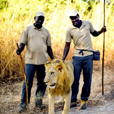 fathala-wild-life-reserve-senegal-83