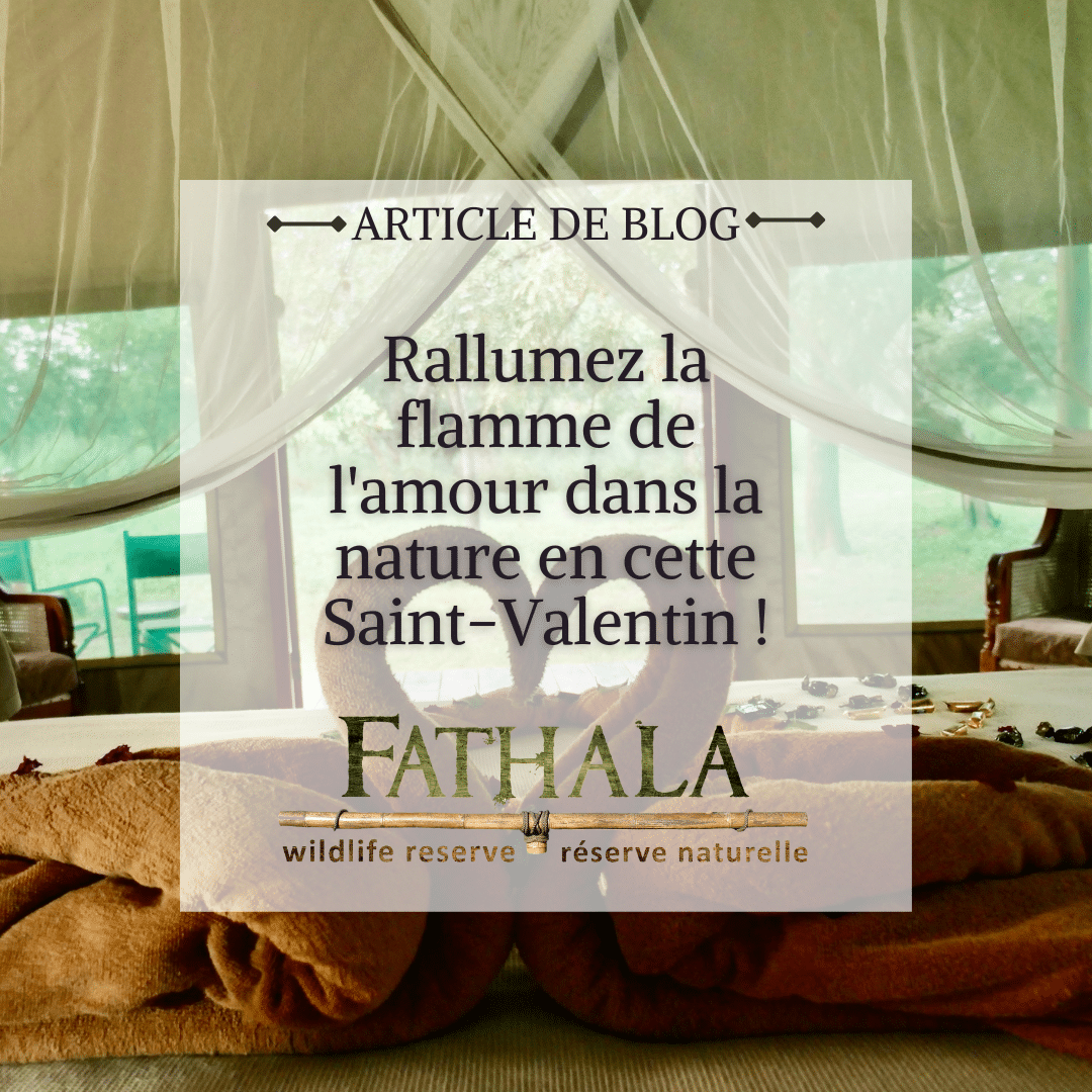 Rallumez La Flamme de l'amour Dans la Nature en Cette Saint-Valentin