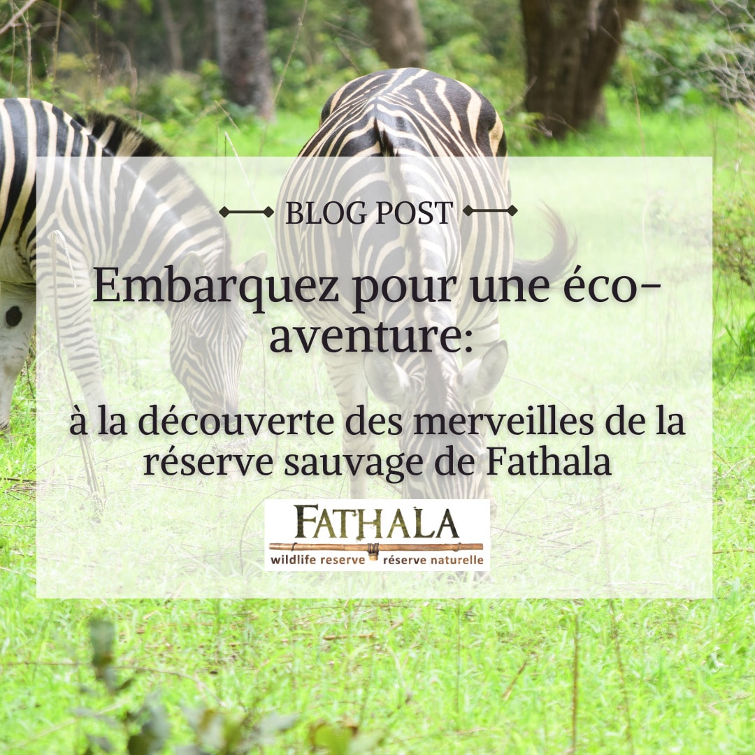 Embarquez Pour Une éco-aventure