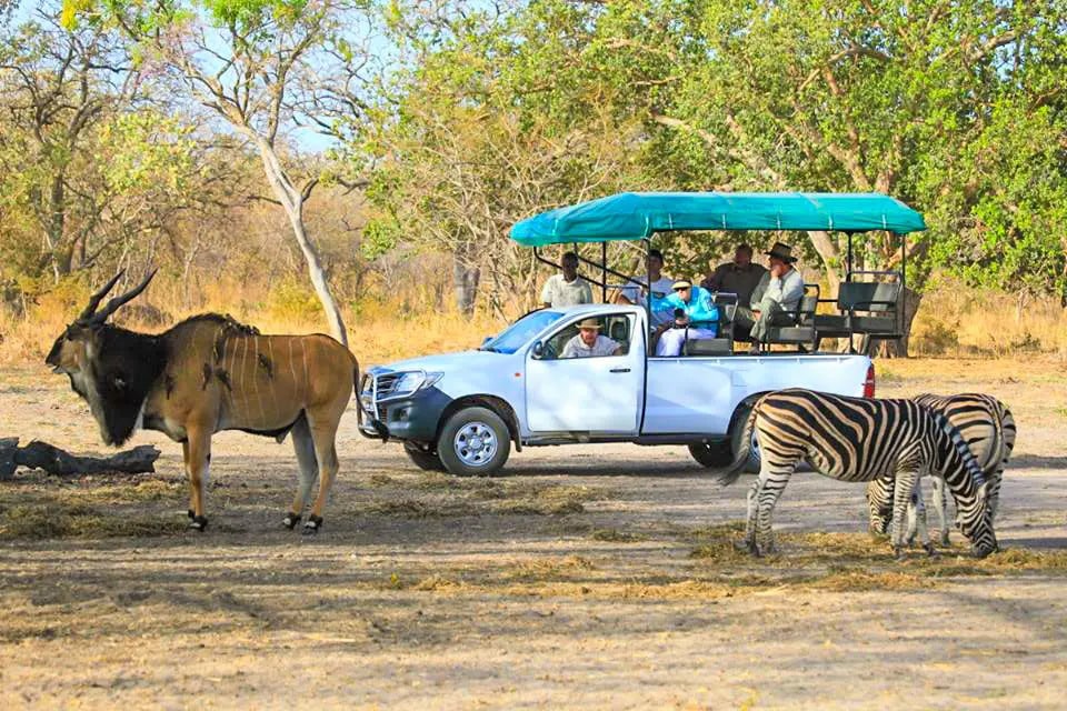 Excursion safari à la Réserve de Faune de Fathala avec zèbres et antilopes