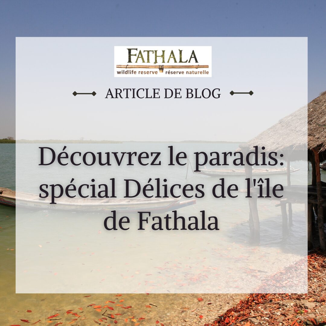 Découvrez Le Paradis : Spécial Délices de l'île de Fathala