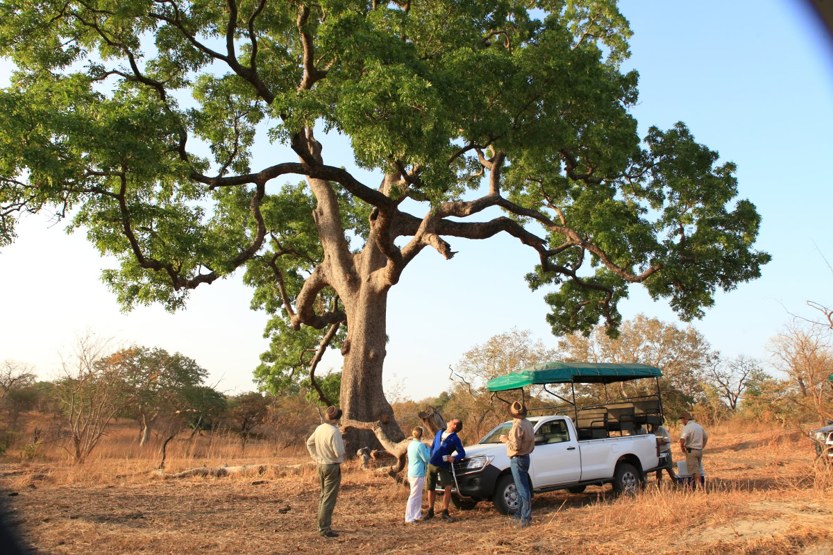 Morning game drive at Fathala Wildlife Reserve