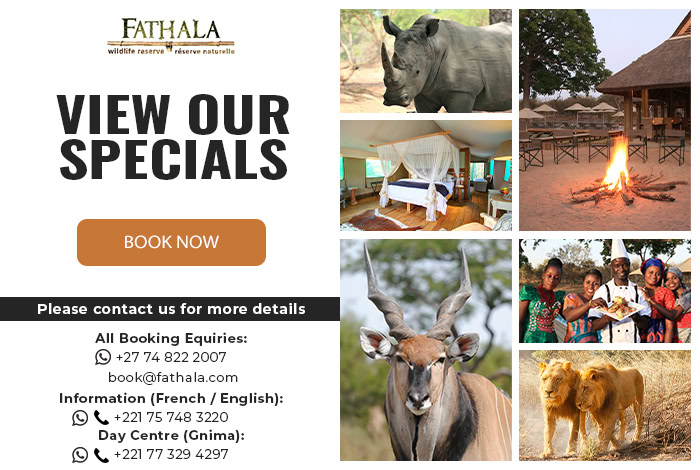Fathala Special Offers - Enquire Now!
